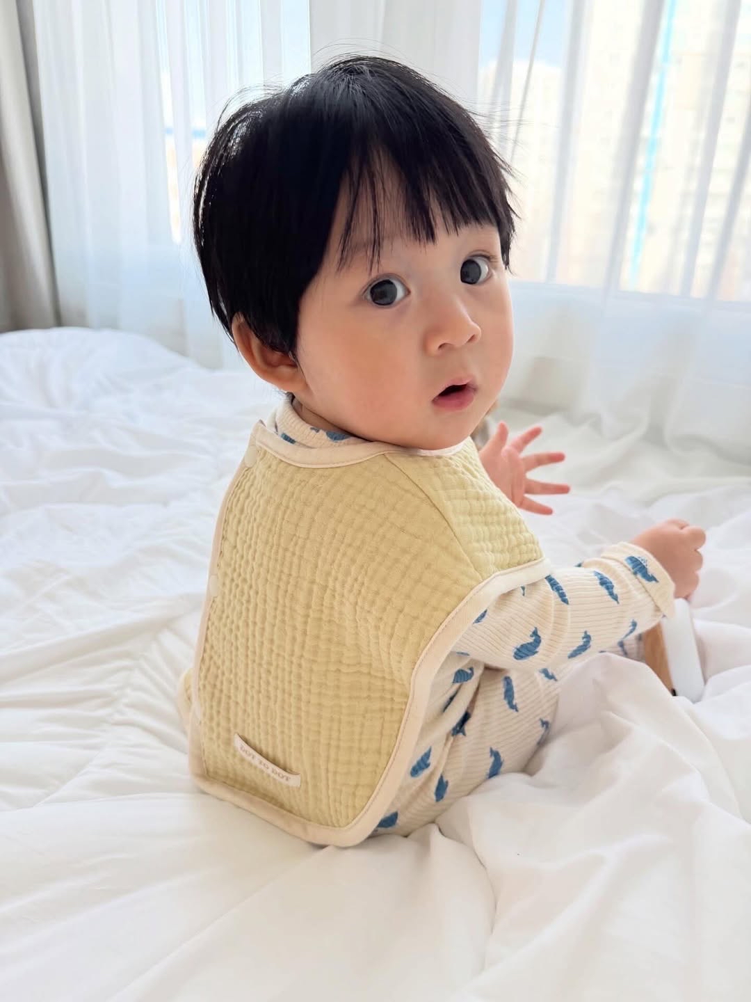 DOTTODOT 七彩棉花糖系列-六重棉紗BIG圍嘴