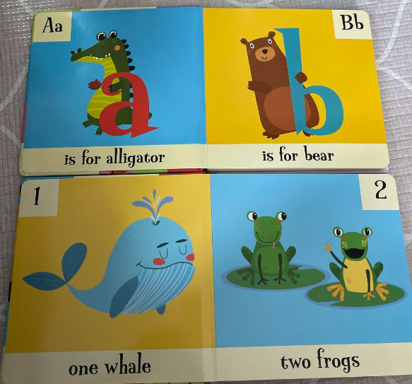 Look & See ABC 123 幼兒啟蒙 紙板書｜2 books｜海綿圓角