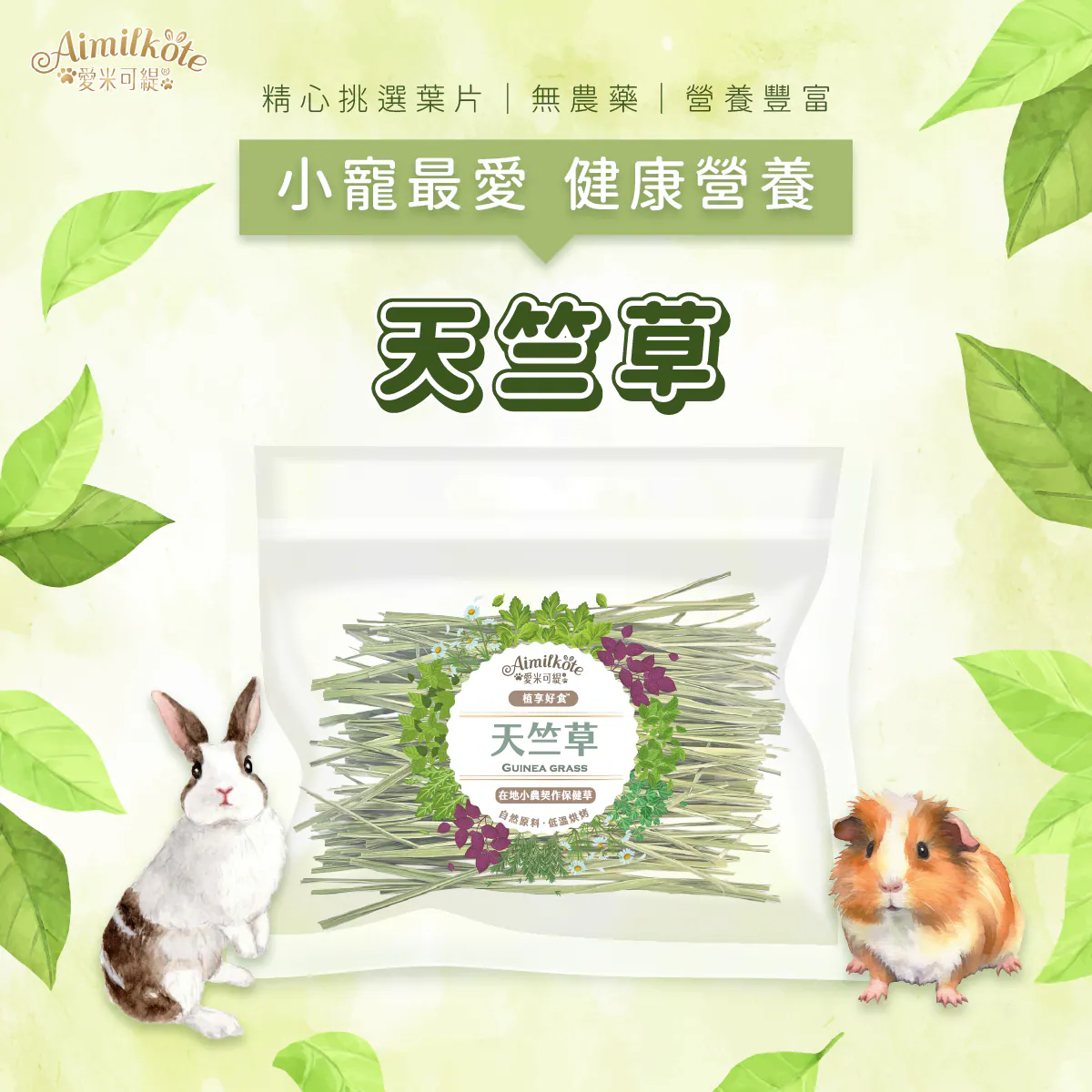 台灣愛米可緹 天竺草 - 15g