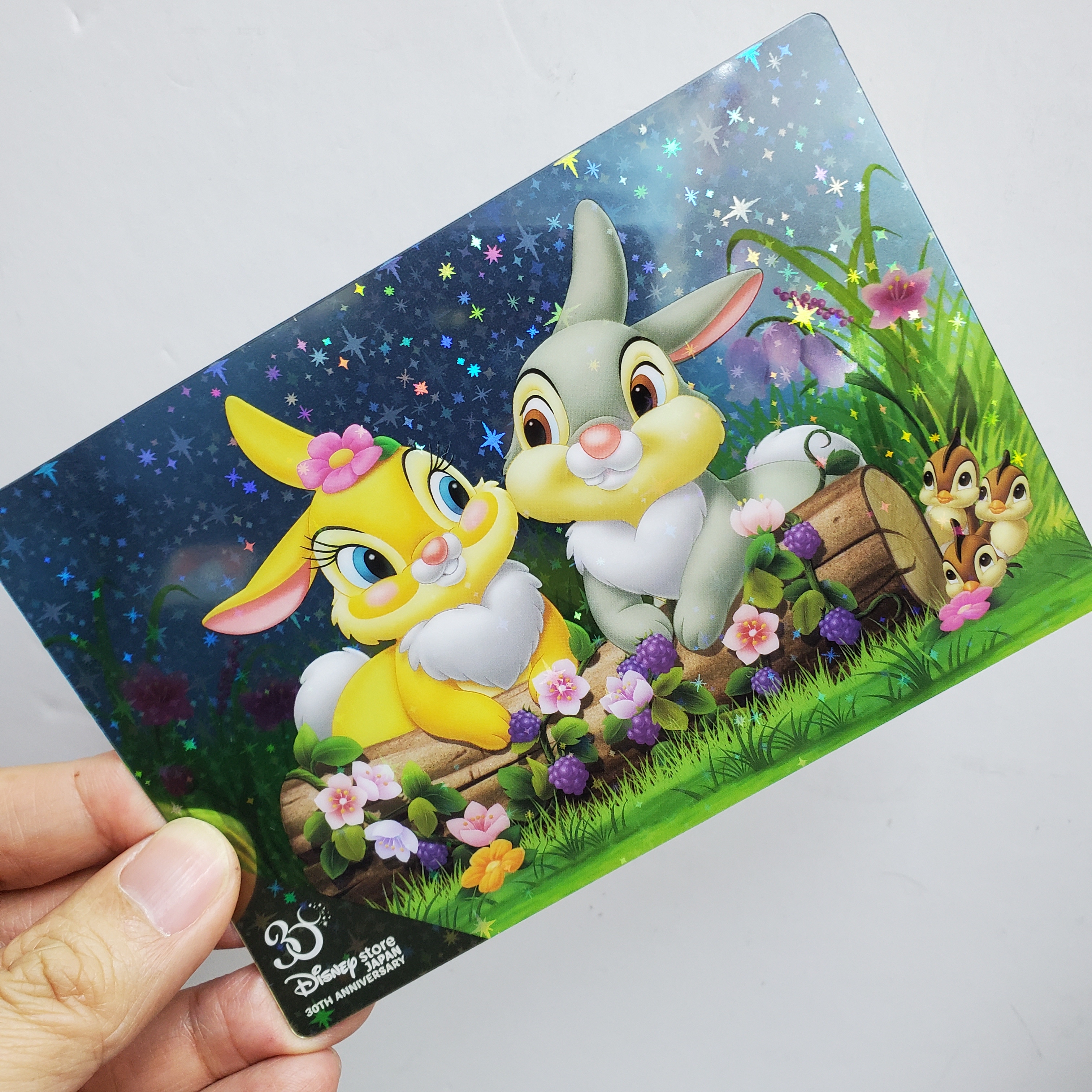 [現貨] [JDS] MISS BUNNY AND THUMPER ｜ 明信片 {TF2212025}