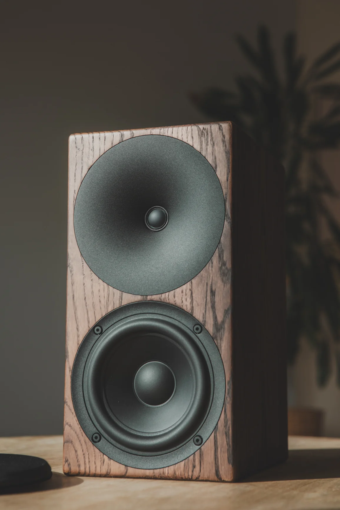 Buchardt A200 DSP 有源喇叭