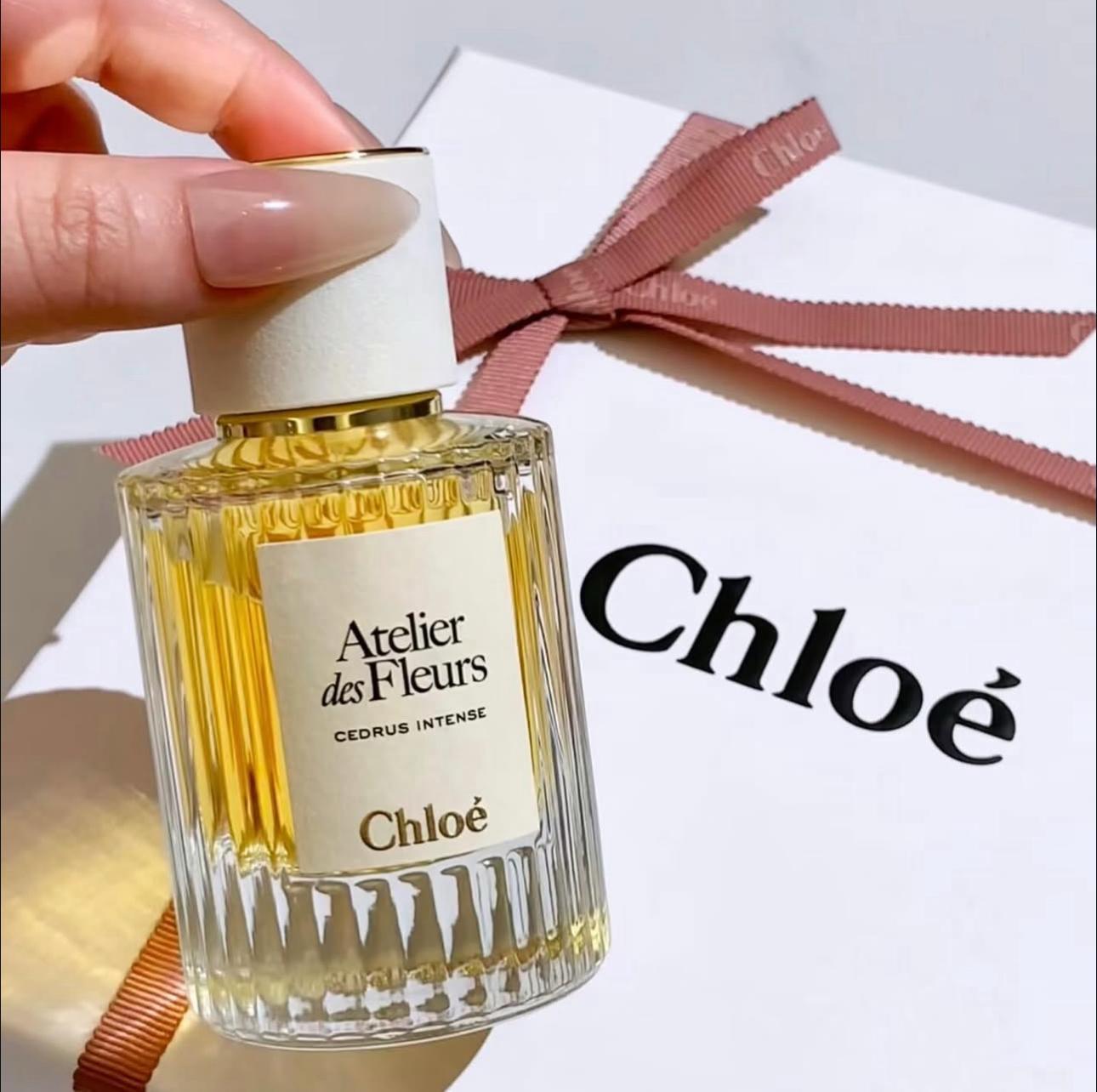 【香港專櫃】 💥NEW  Chloe新品深林雪松50mlEDP（濃香）