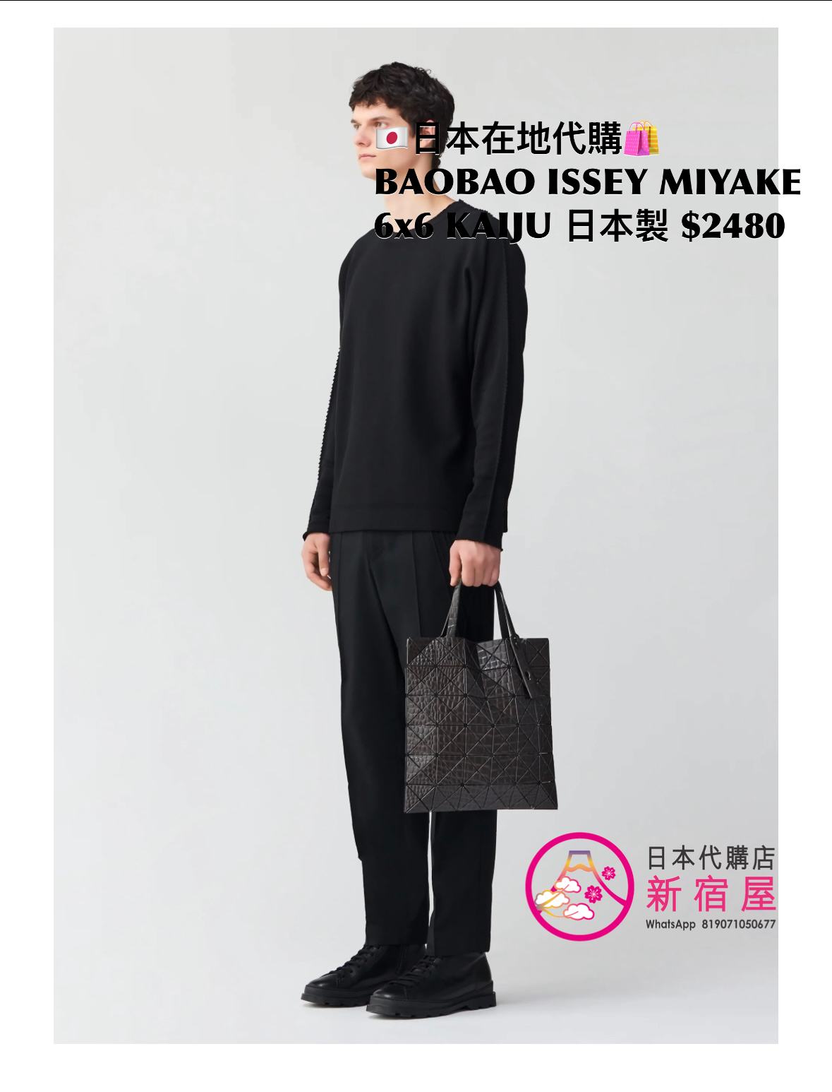 BAOBAO ISSEY MIYAKE 6x6 KAIJU