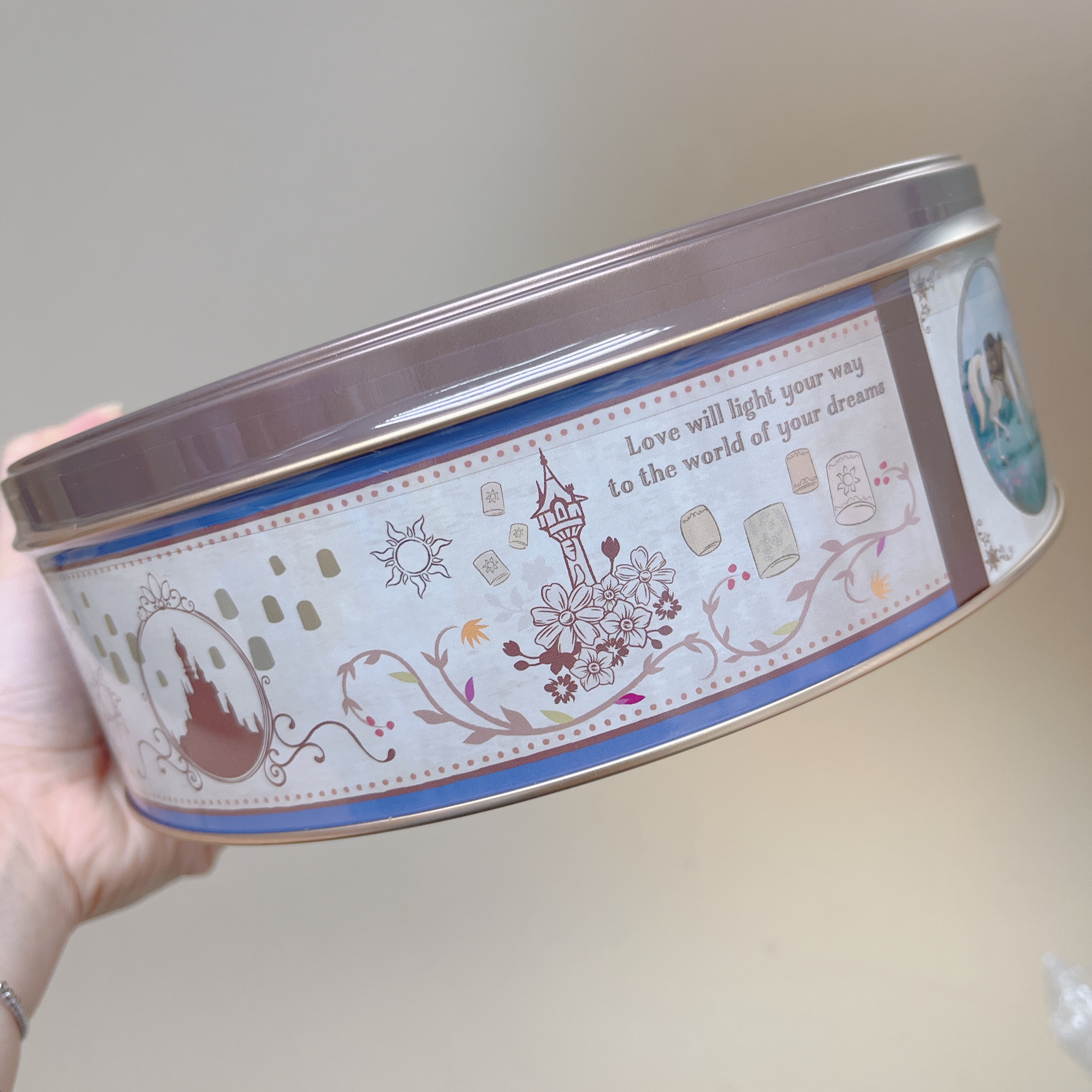 日本現貨/預訂📍東京迪士尼長髮公主圖案蛋糕仔連曲奇