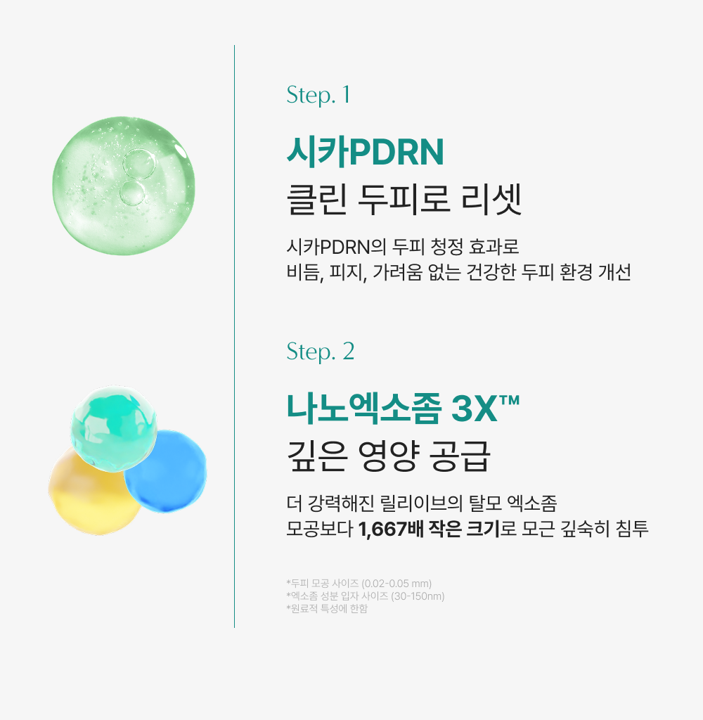 韓國Lilyeve PDRN積雪草冰感頭皮修復舒緩精華梳100ML [預計9月上旬出貨]