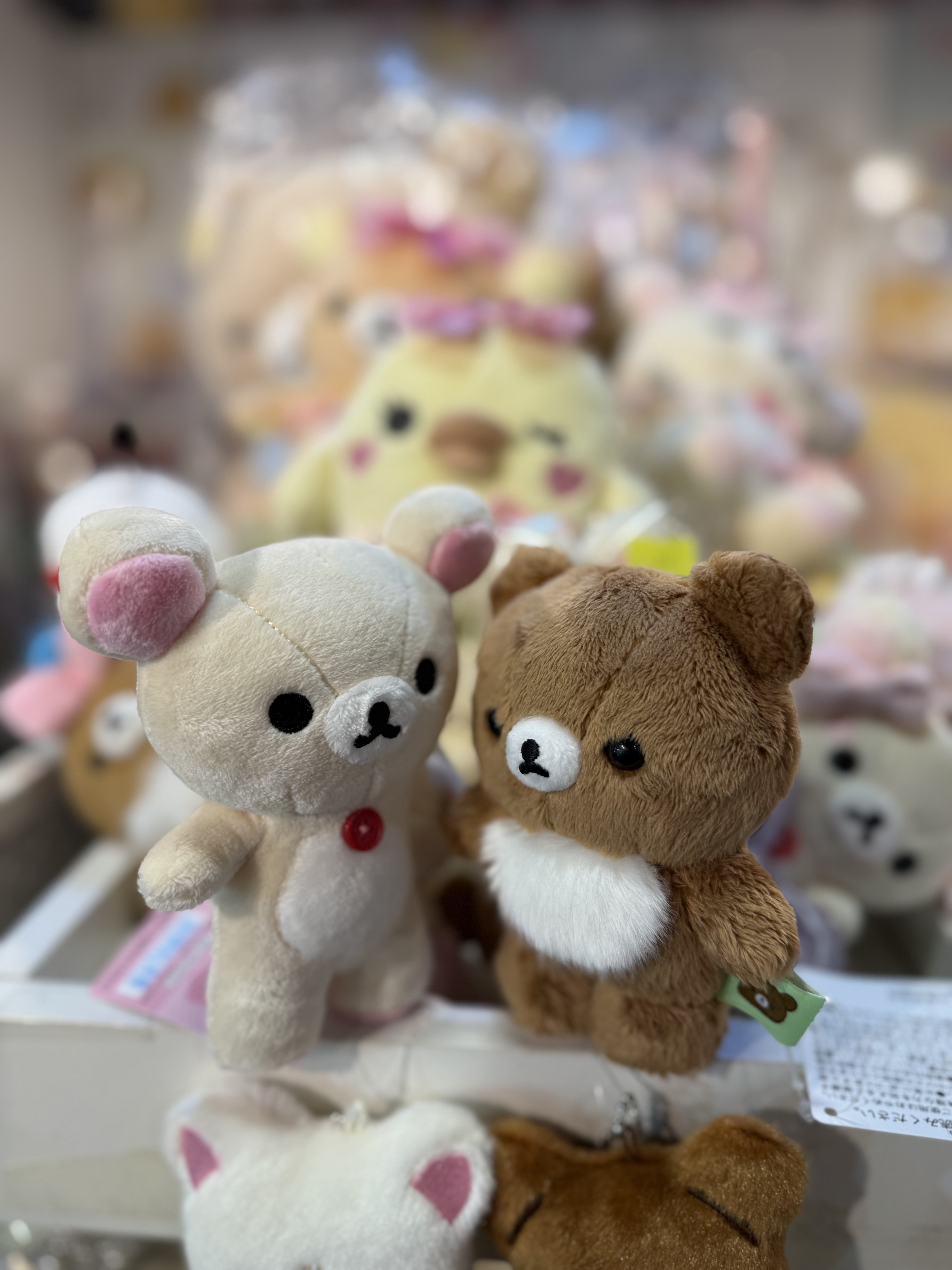 《現貨》全新小白熊/小熊站立公仔（s size)