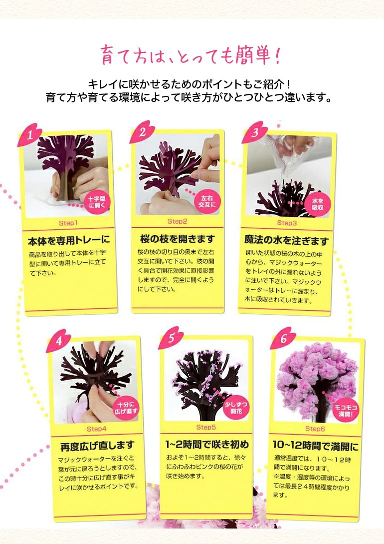 日本 KOKUBO Magic Sakura 魔法櫻花