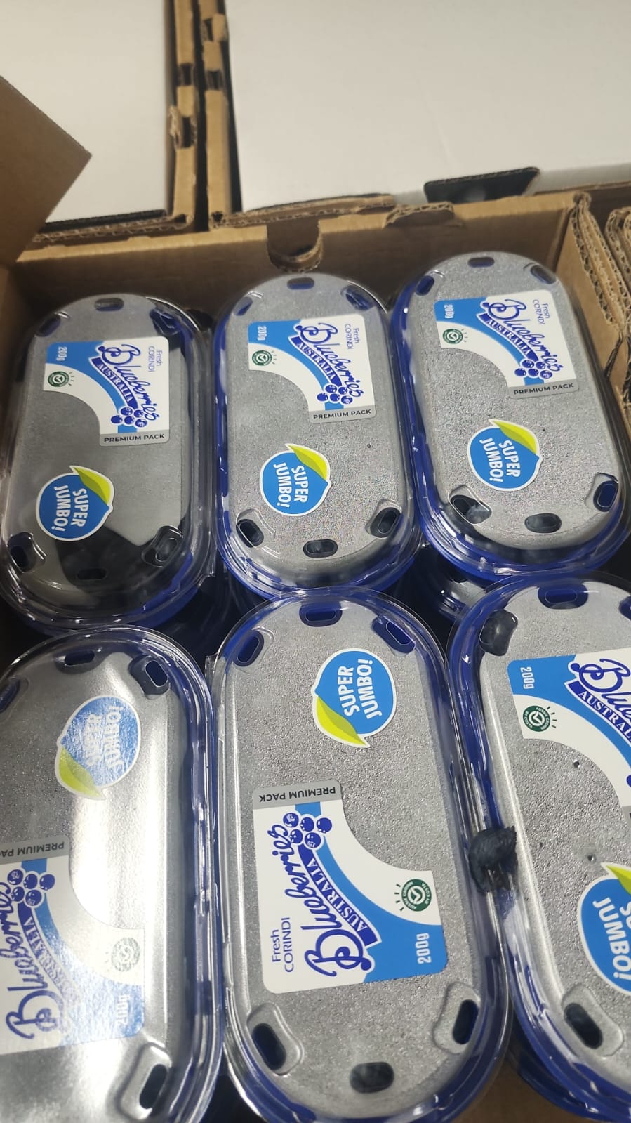 雲南高山jumbo大 蓝莓 每份两盒