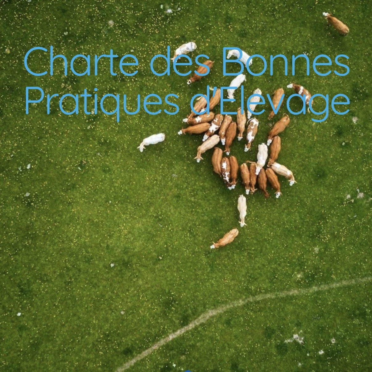 ♻️法國 UHT全脂牛奶 France Fred & Chloe Full Cream Milk 