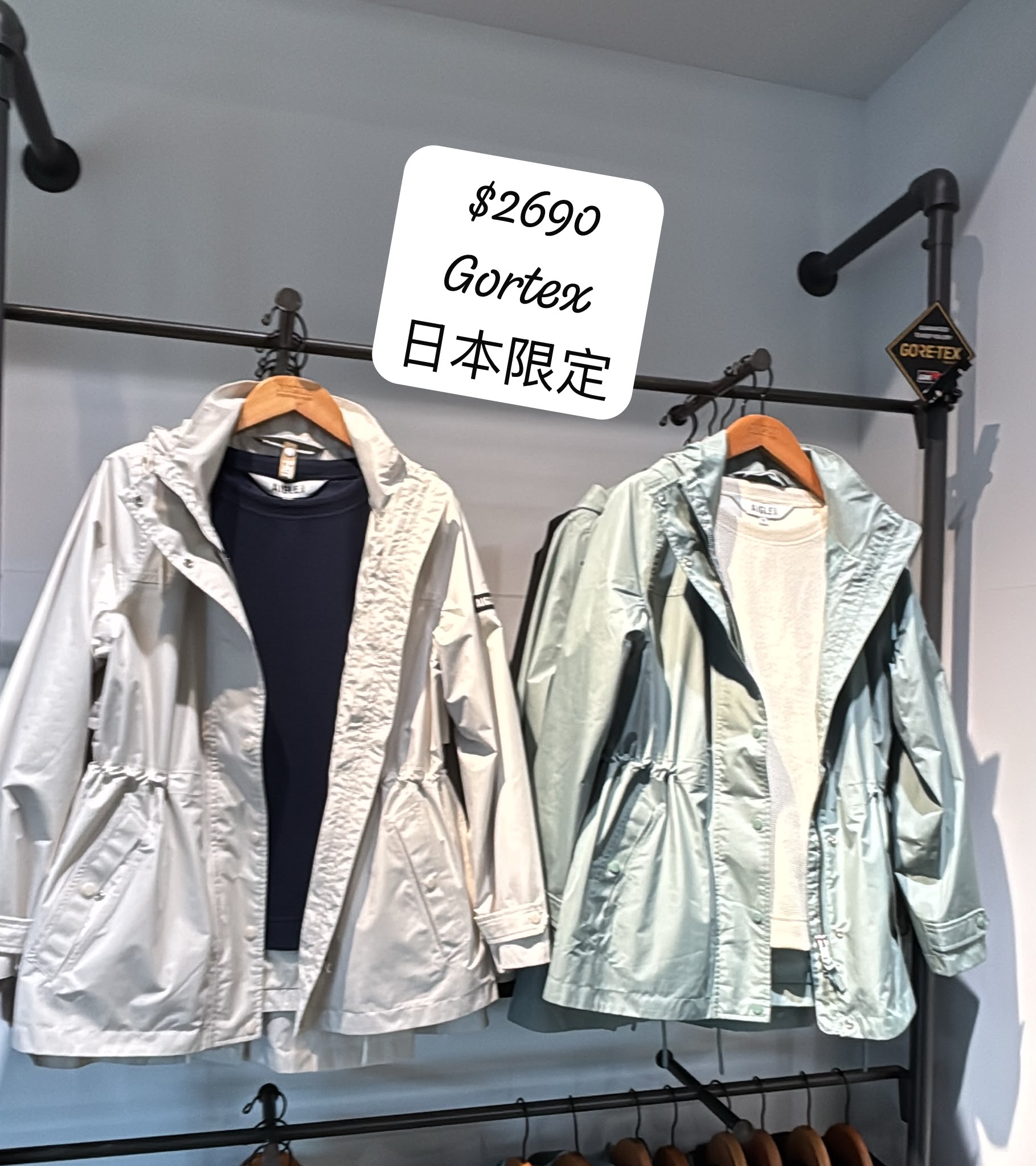 aigle gortex 日本限定