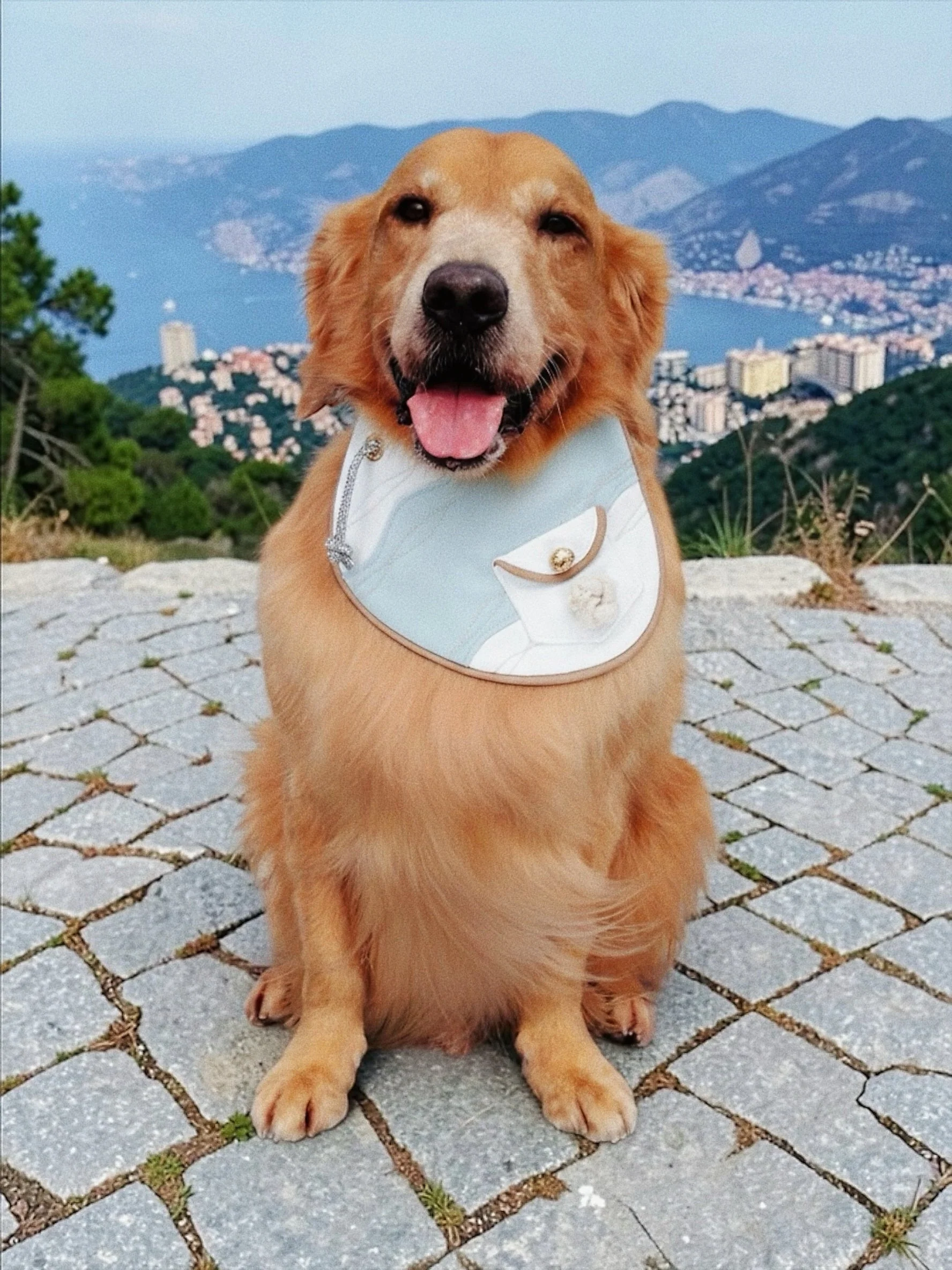 MOMOJI Antibes (1-Azure Mist) | Pet Neckwear