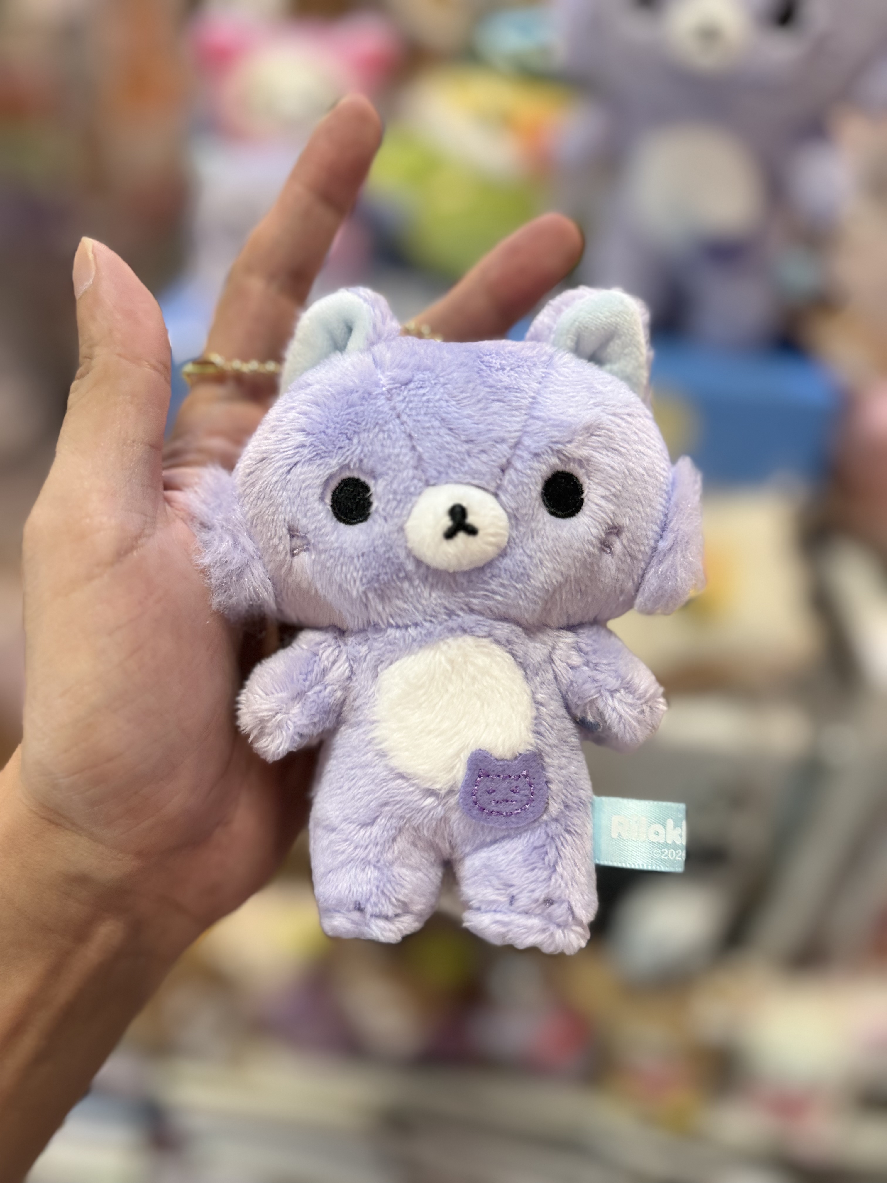 《現貨》全新Rilakkuma瓦瓦貓