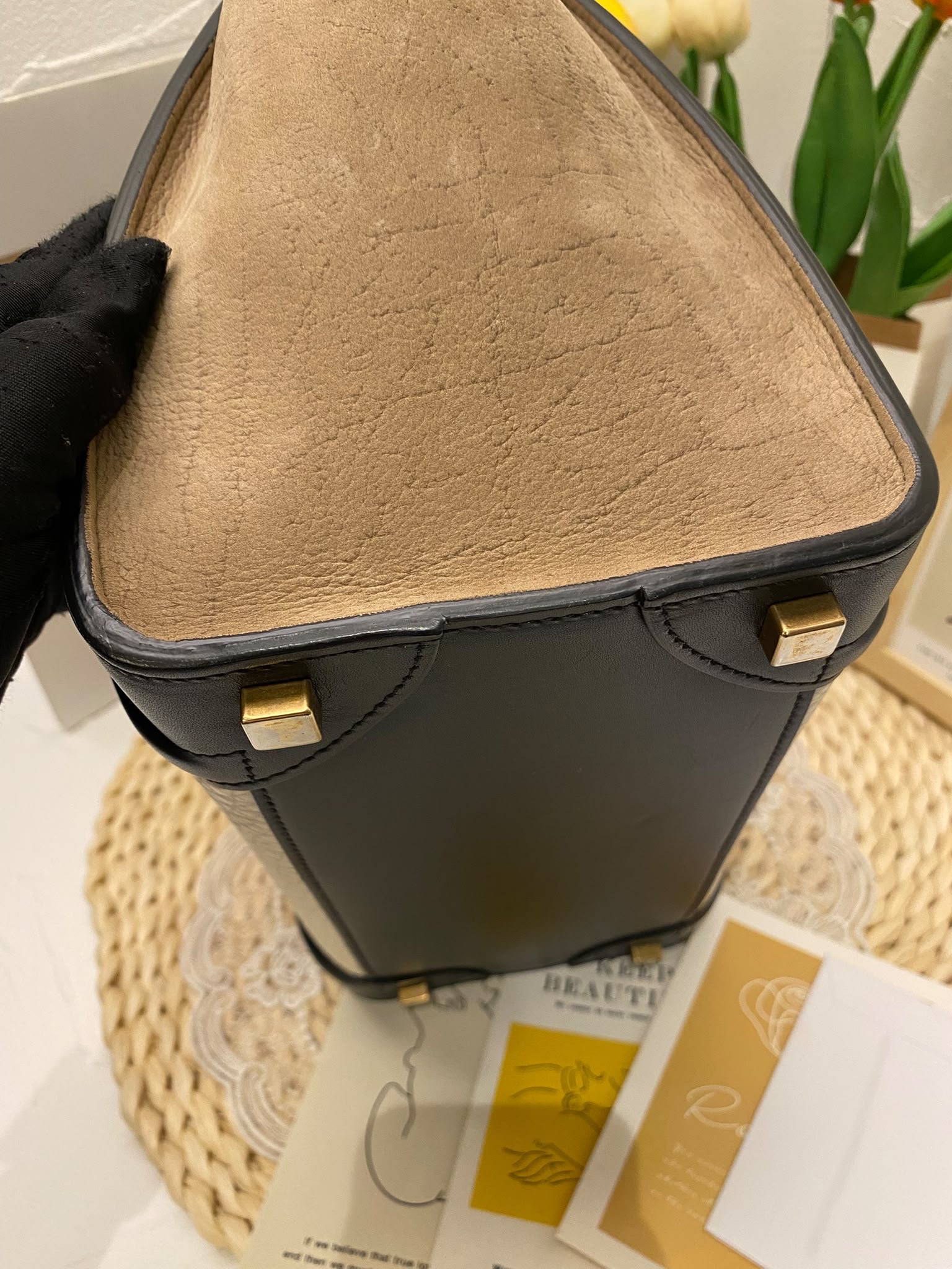 Celine Tricolor Luggage Bag