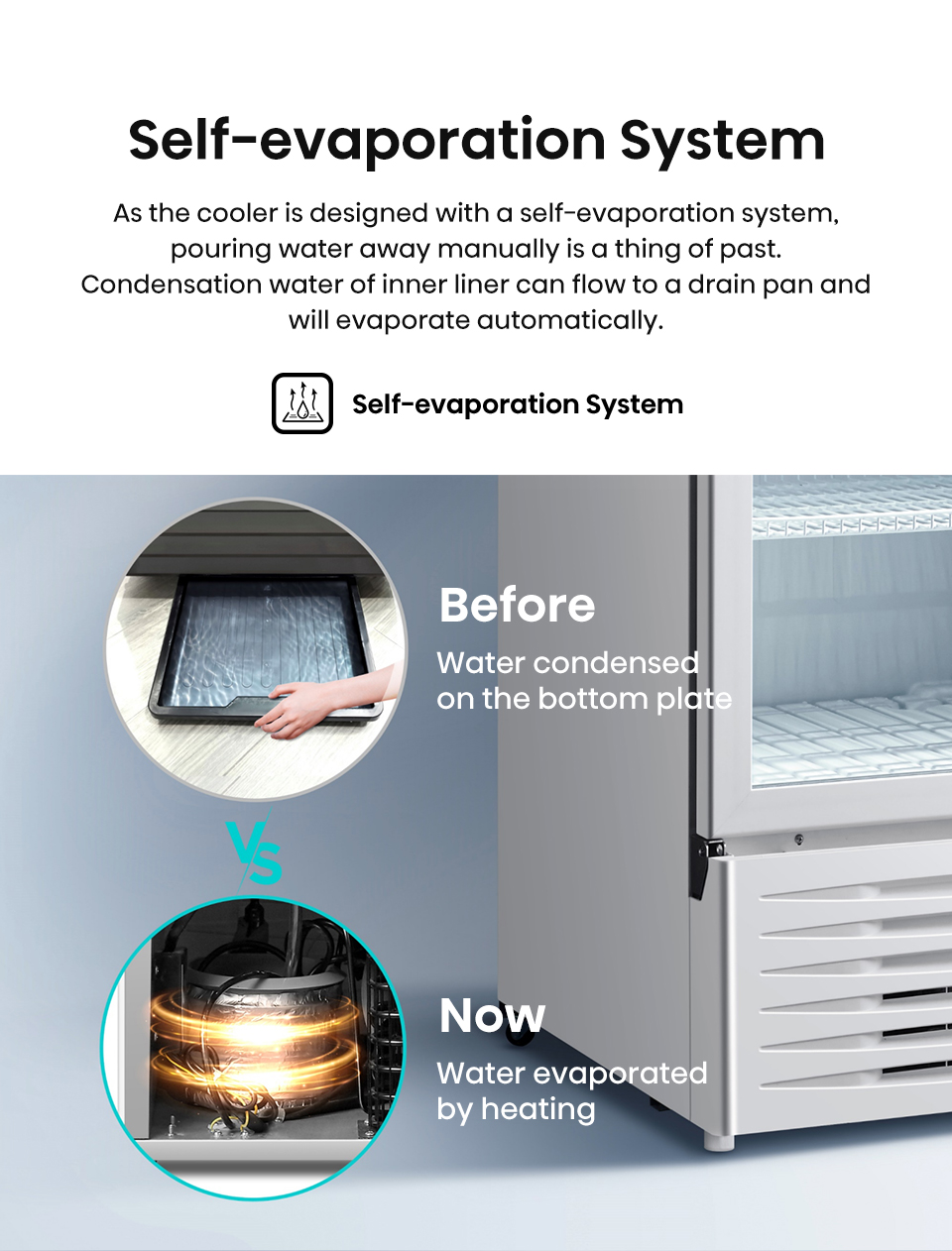 Hisense 320L Commercial Showcase Chiller (EXHSC-320FLG)