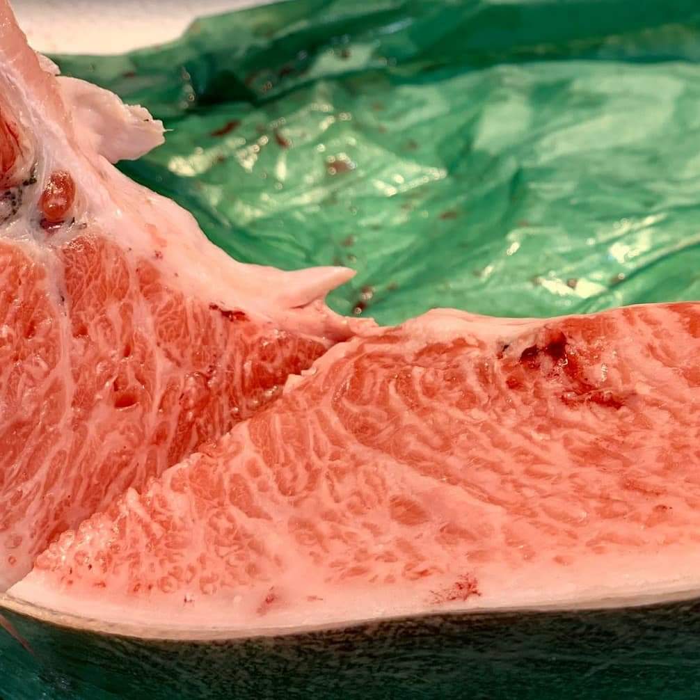 🇯🇵日本直送冰鮮藍鰭拖羅魚鮫🐟🍣🍶