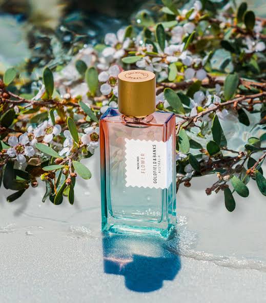 Pacific Rock Flower - Goldfield & Banks