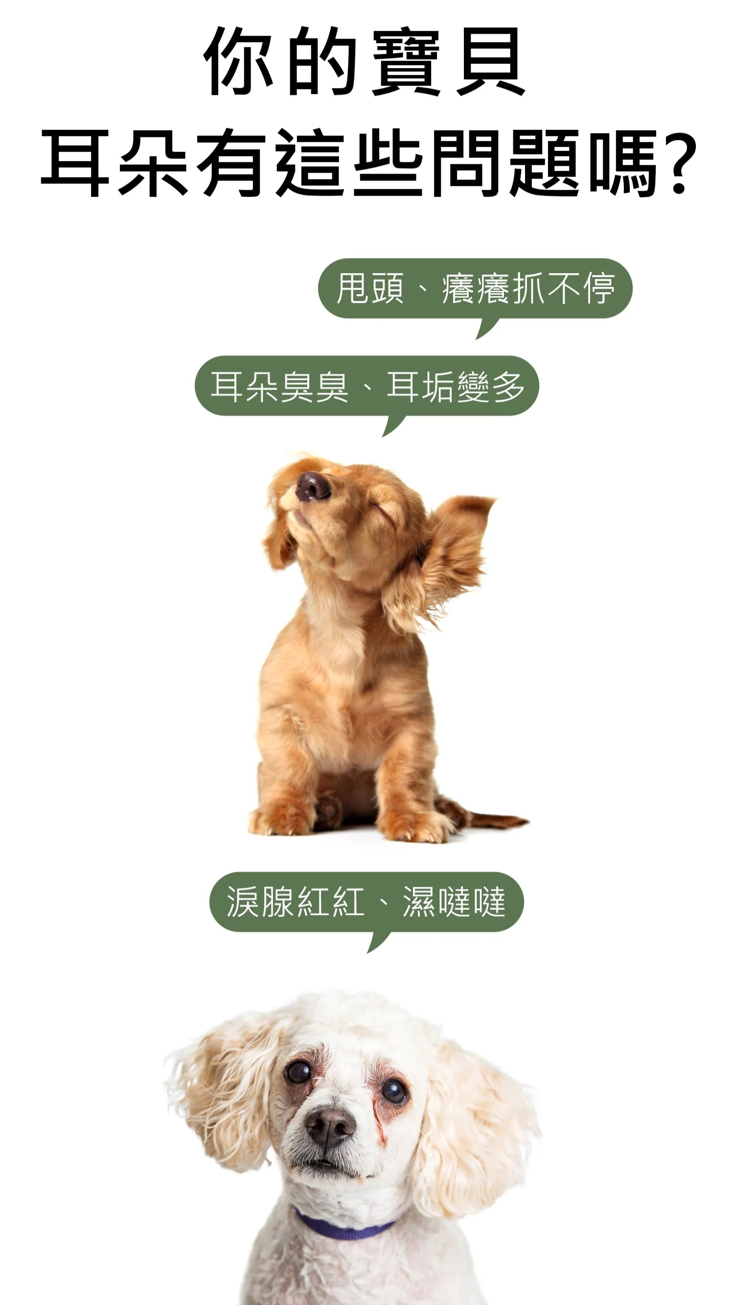 （特價）水魔素【貓狗專用】銀離子潔耳液