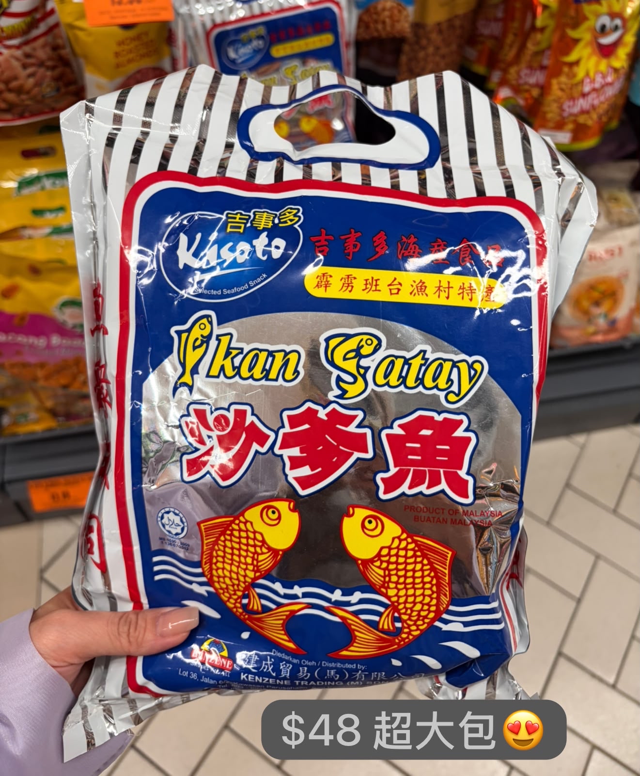 沙爹魚