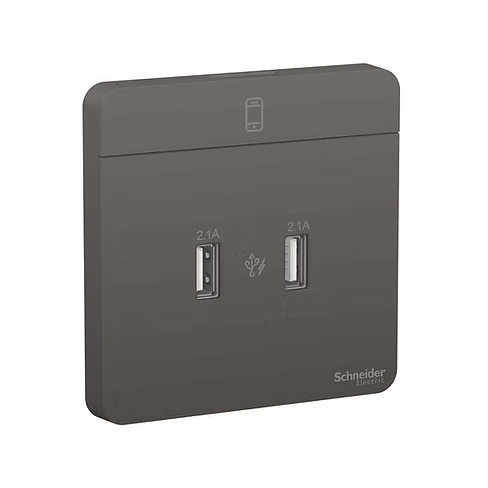 施耐德 AvatarOn 石墨灰 2位2.1A USB充電 插座