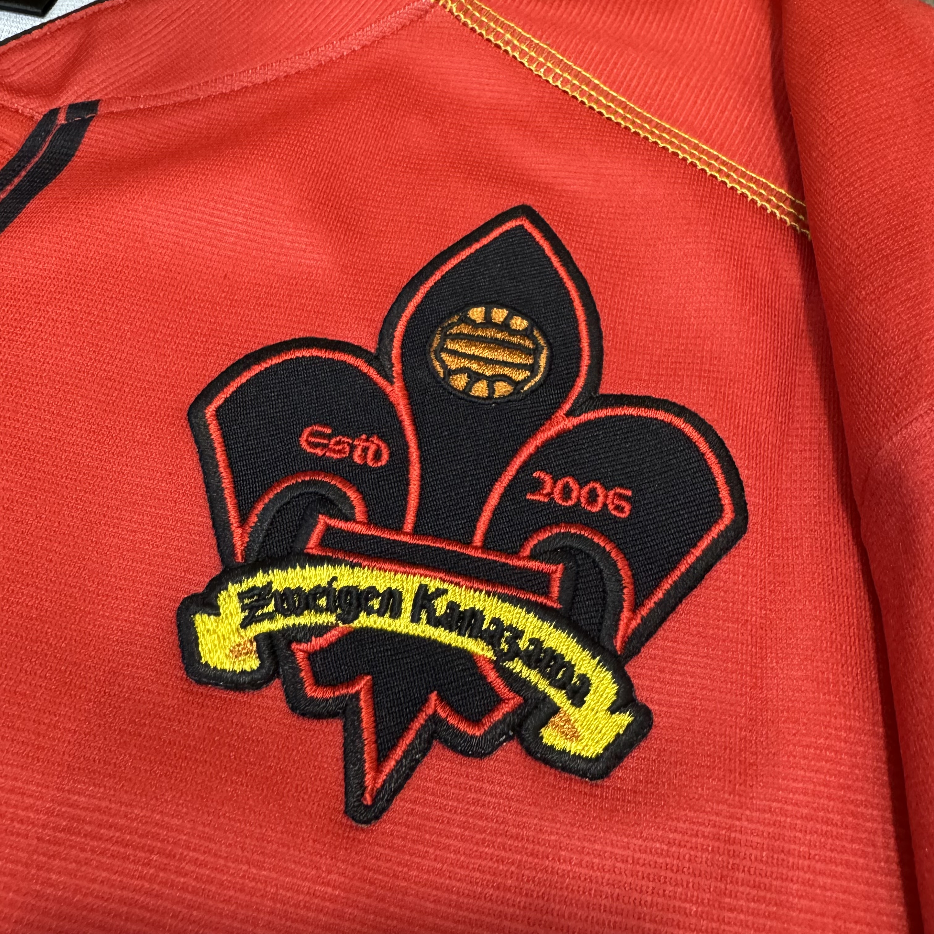 金澤FC Zweigen Kanazawa 2013 home shirt #10 
