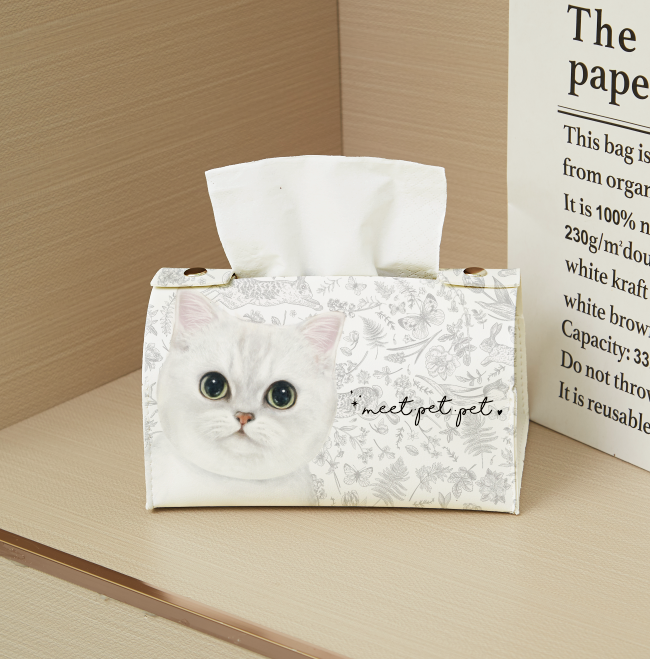 ⋆ 英短 ⋆ 紙巾套 ⋆ British Shorthair