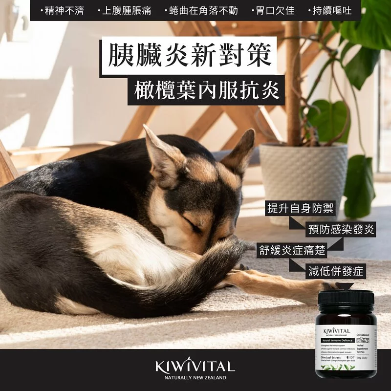 Kiwivital OliveBoost 80g 寵物專用橄欖葉草療配方