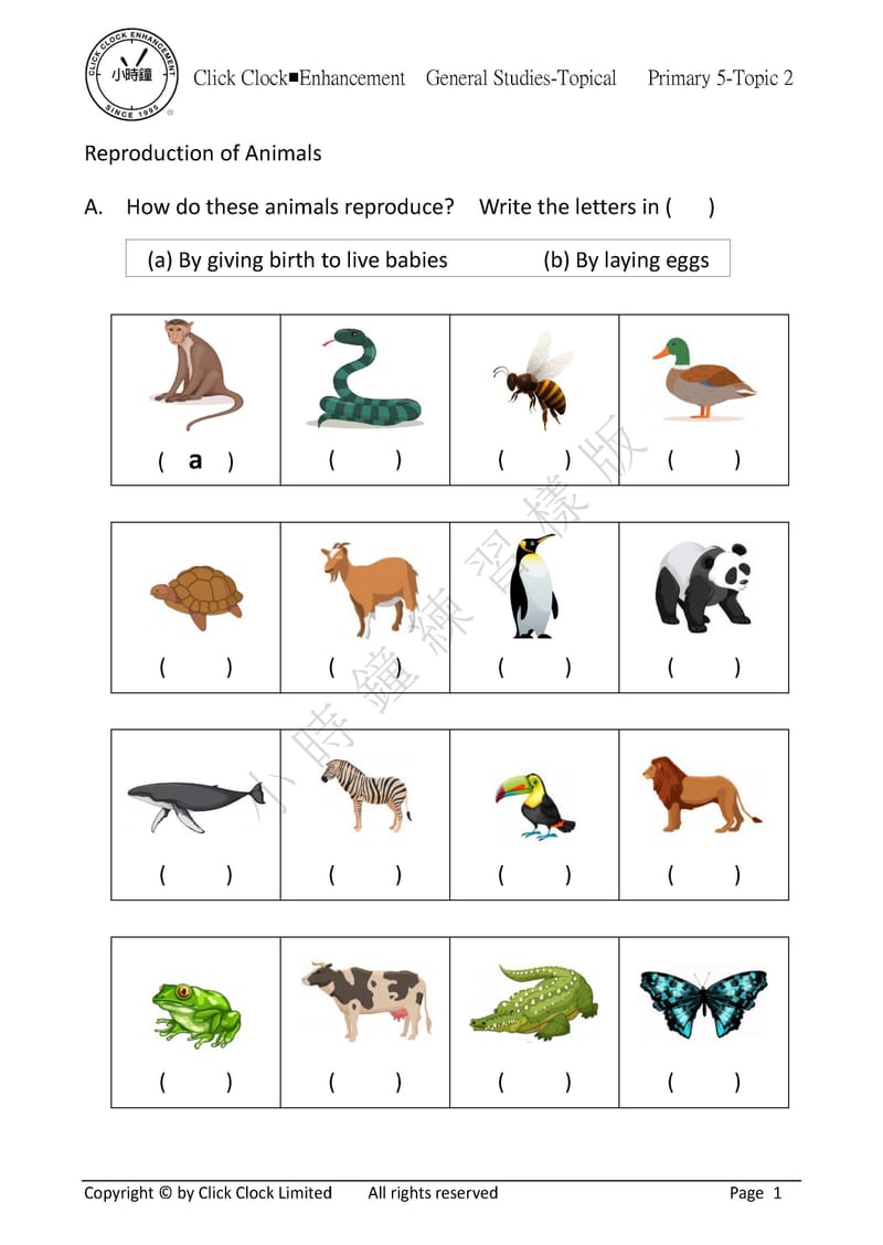模擬試卷 (五年級)