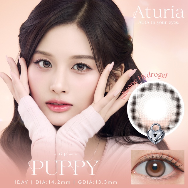 Aturia - Puppy (1day/10P)