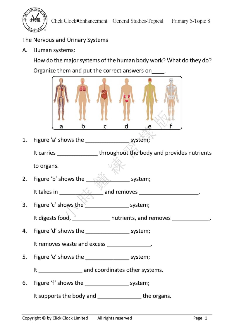 模擬試卷 (五年級)