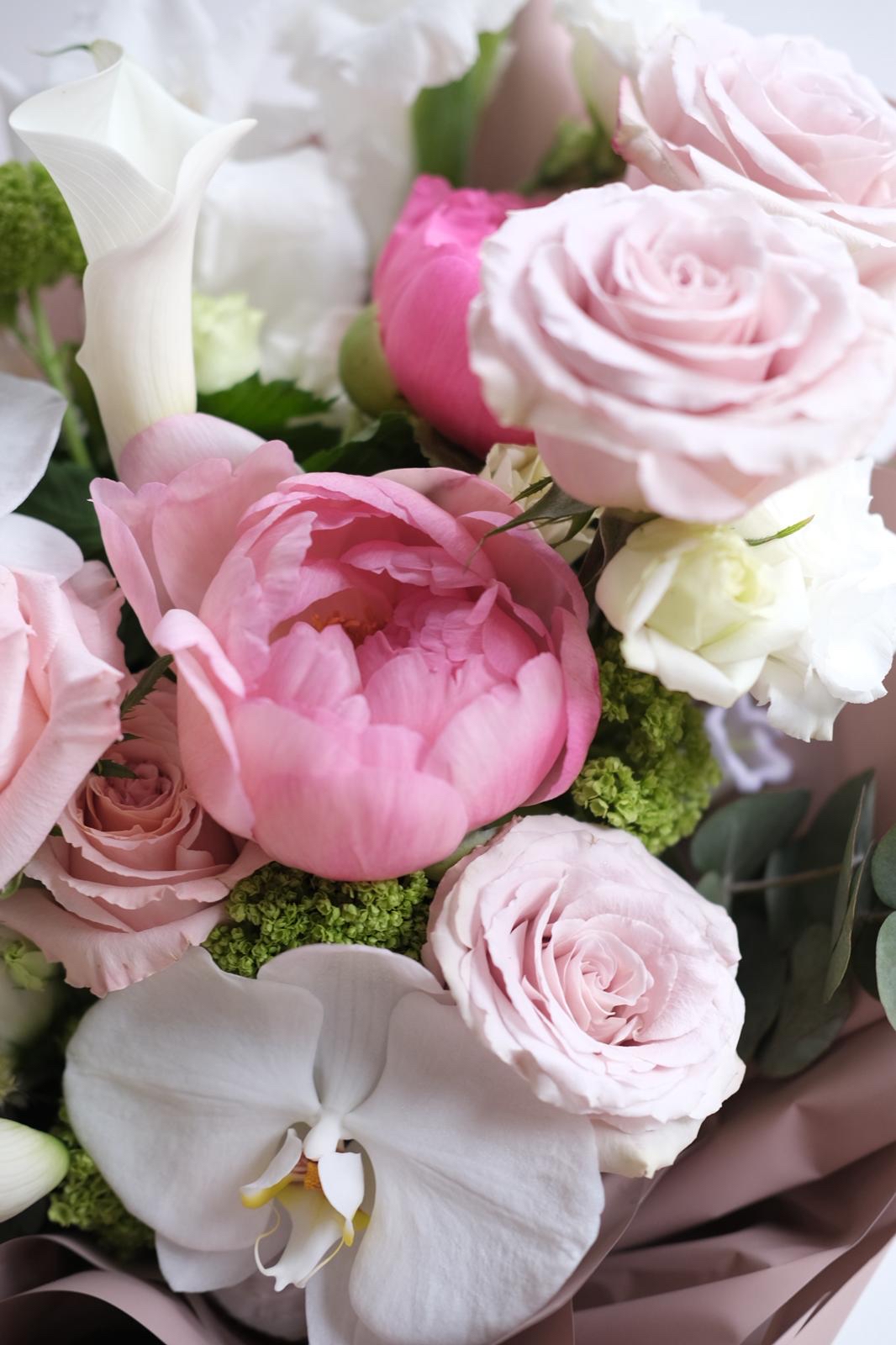 Blushing butterfly 🩷