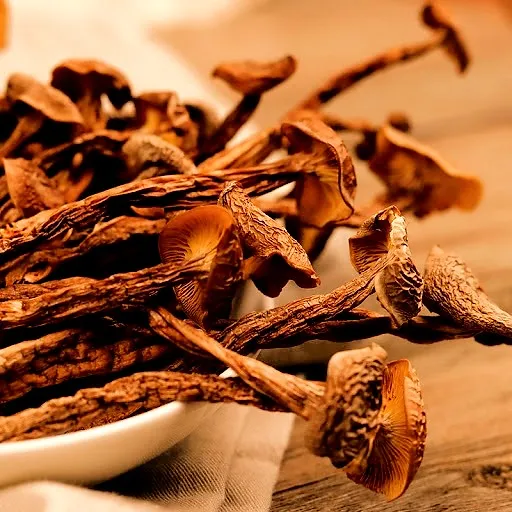 CA023 鹿茸菌 100g (山菜極品，媲美松茸)  