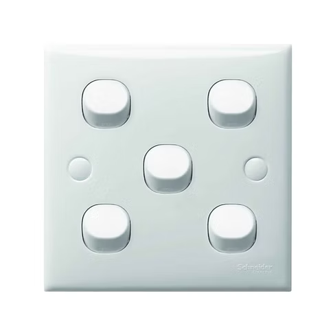 施耐德 E30 白 5位雙控開關掣