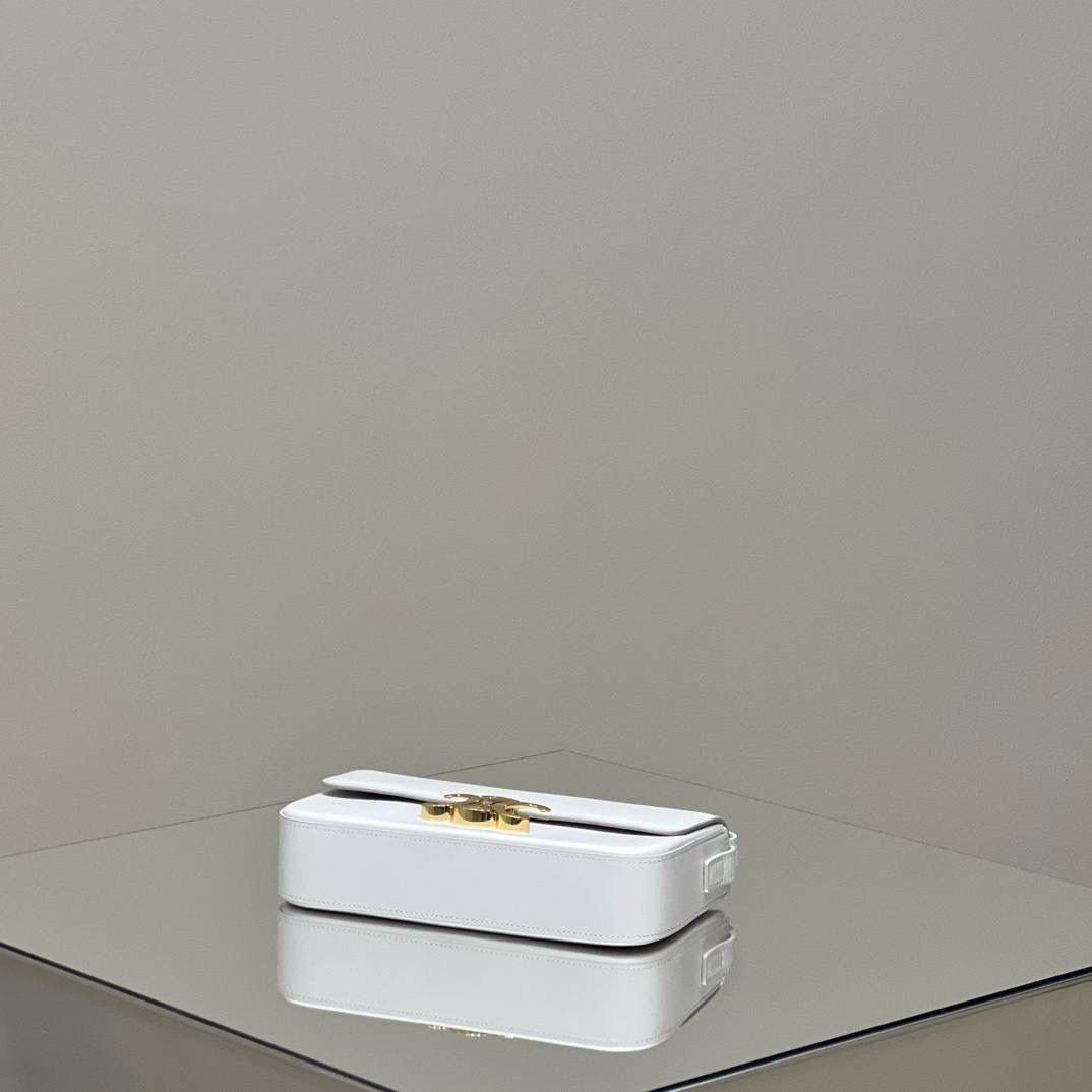 🔥大货实拍图 𝗖𝗘𝗟𝗜𝗡𝗘 ♥ 𝗧𝗥𝗜𝗢𝗠𝗣𝗛𝗘 𝗦𝗛𝗢𝗨𝗟𝗗𝗘𝗥 𝗕𝗔𝗚 型号：194143 尺寸：20*10*4cm