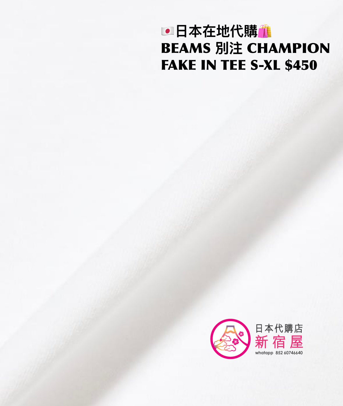 BEAMS 別注 CHAMPION FAKE IN T-SHIRT