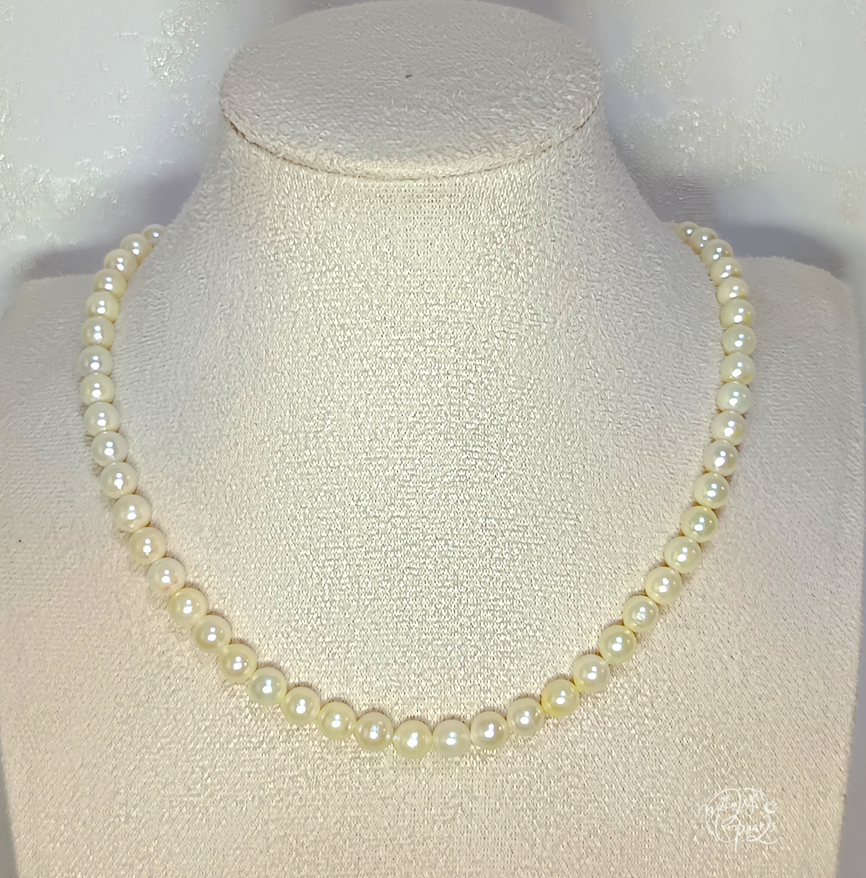 正圓強光日本akoya天然奶油金色海水珍珠注金圓環雙扣鎖骨鍊