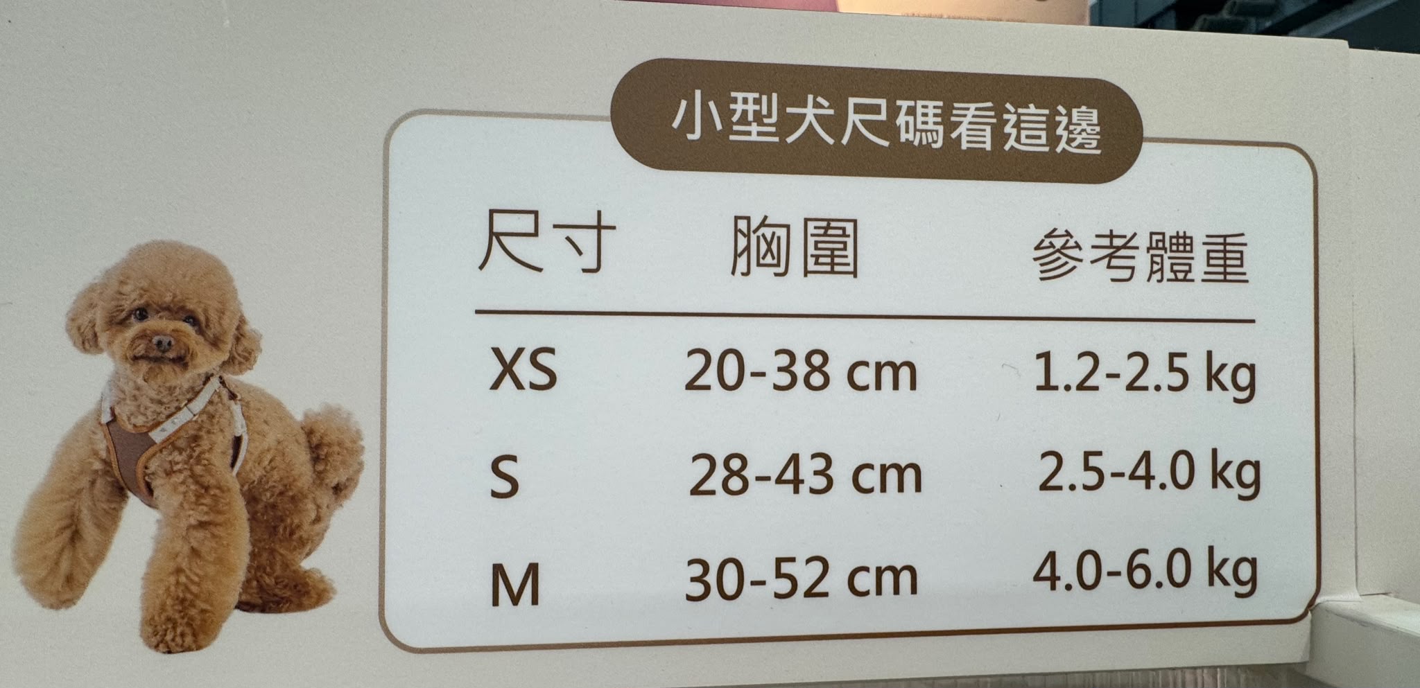 Auskommen X型胸帶