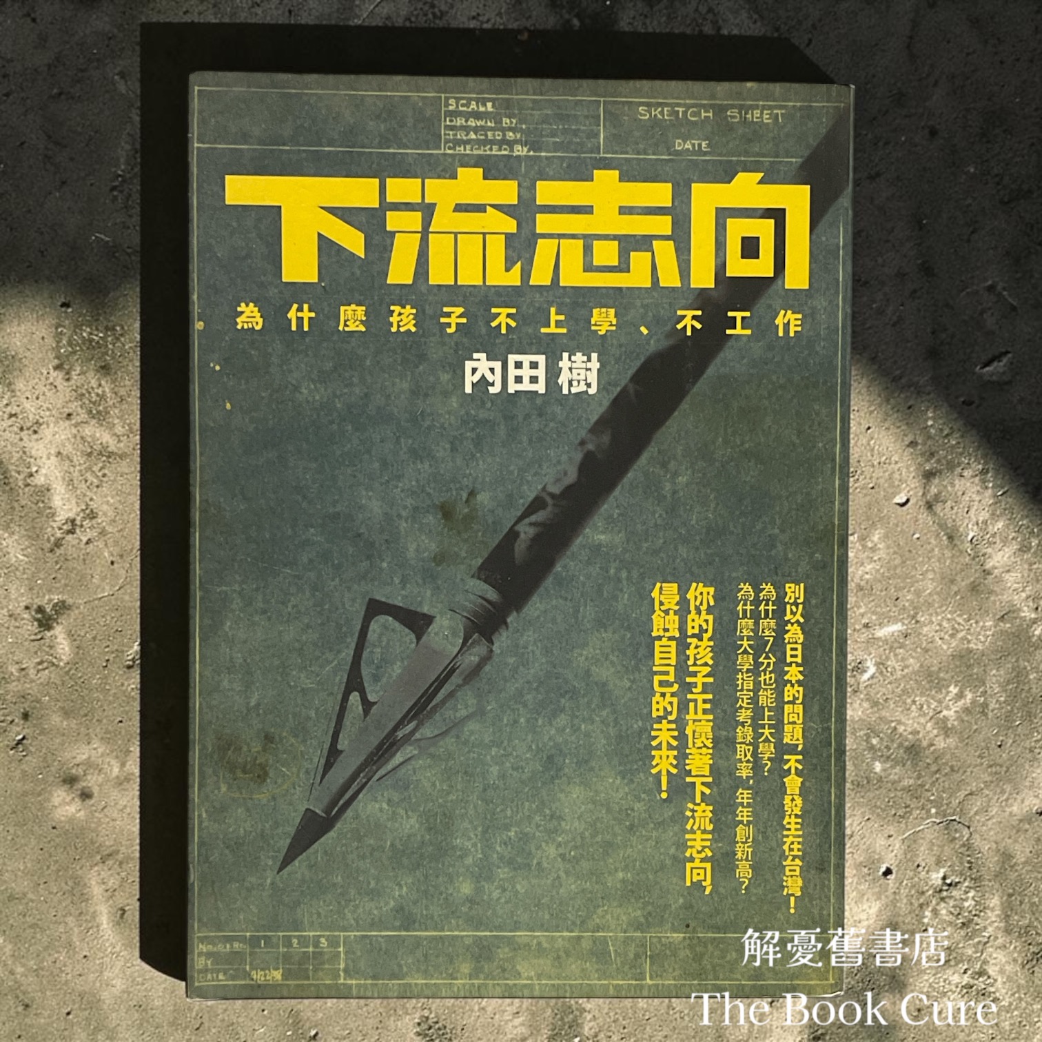 下流志向：為什麼孩子不上學、不工作 / 內田樹 著