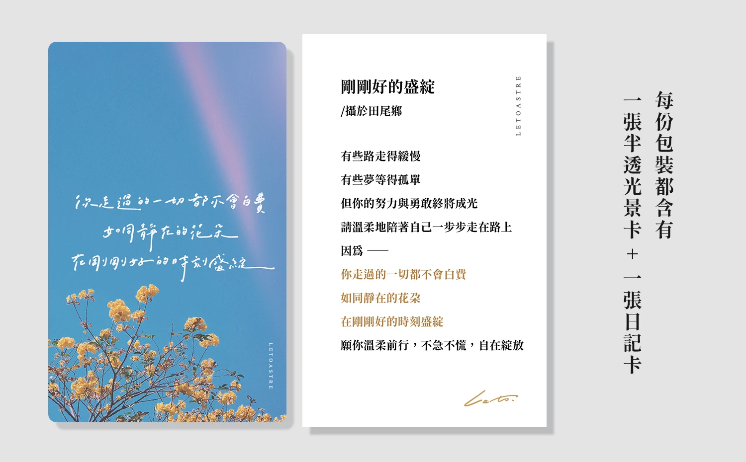 半透光景小卡｜手寫字｜半透書籤
