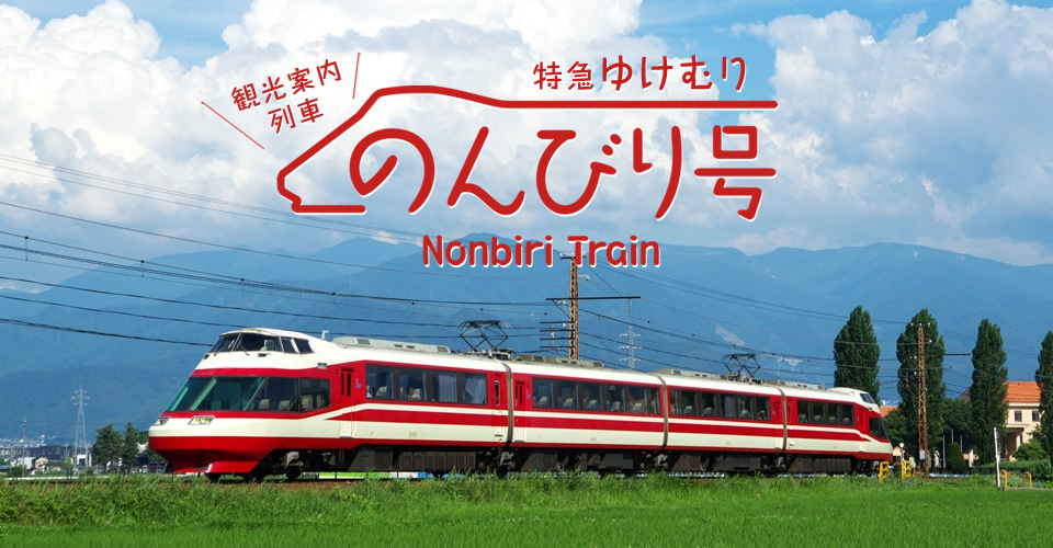 長野電鉄 1000系"雪霧" ゆけむりセット Tomix 98599 N-scale