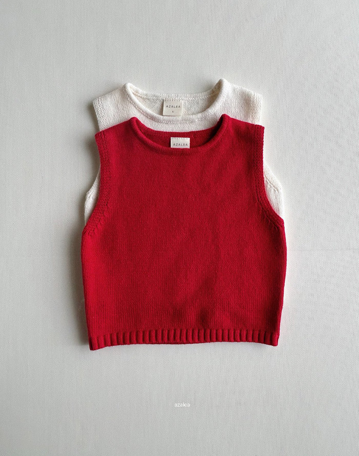 🇰🇷azalea背心+外套