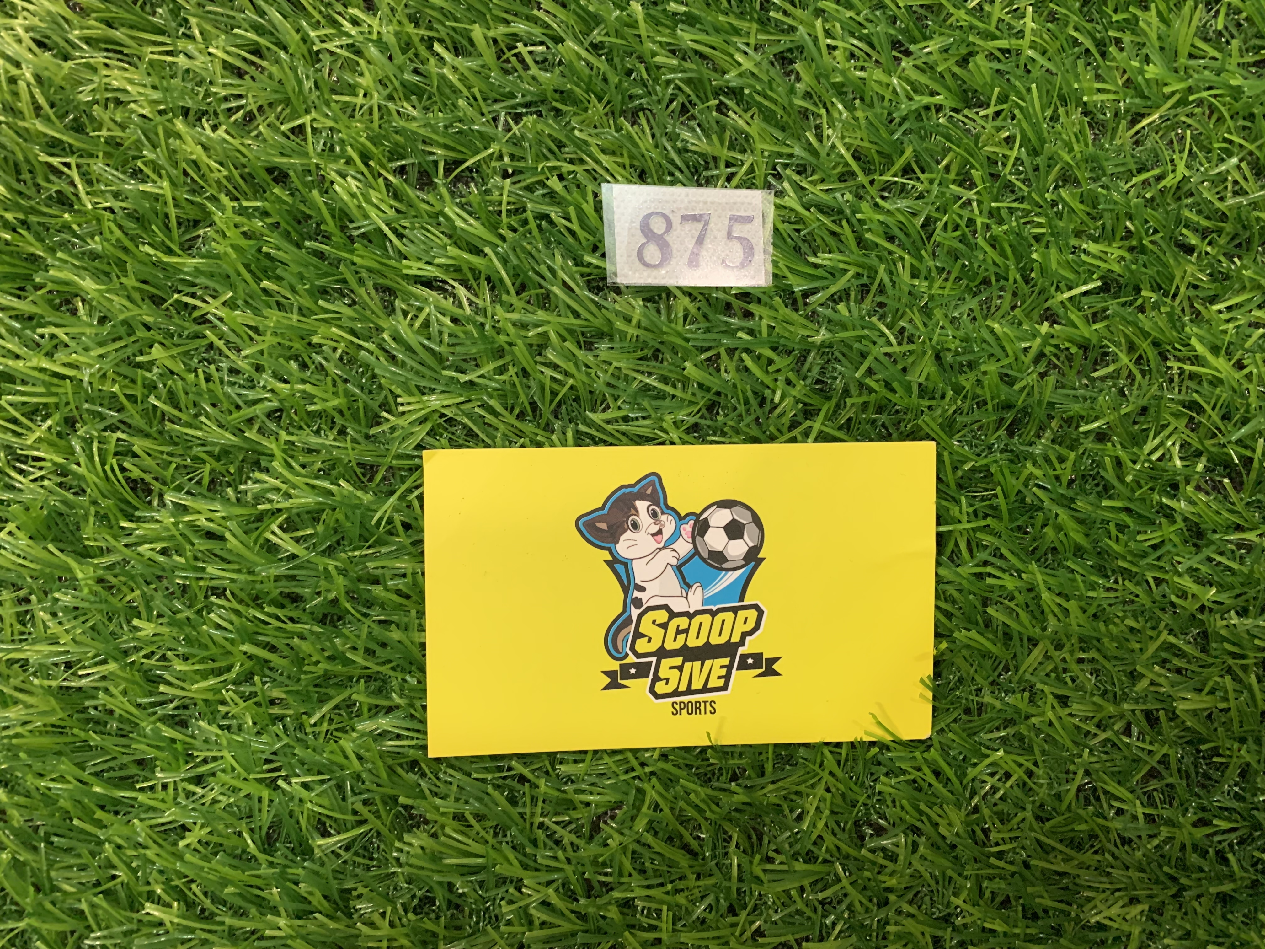 熱刺 DIY 傳奇編號 875 van de Ven 印衫背脊頂部