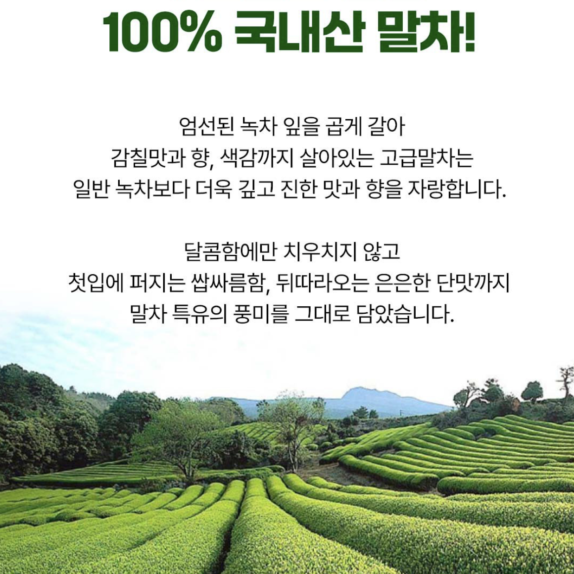 韓國 DANONGWON 頂級100%有機 抹茶粉 10入 / 盒｜Organic Matcha Premium
