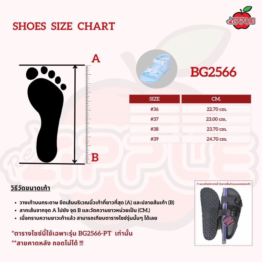 🇹🇭泰國Red Apple 兒童Pastel雙扣後帶涼鞋（型號 BG2566｜#22–39碼）