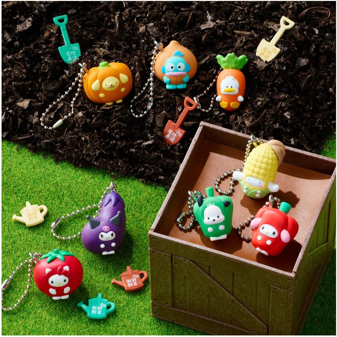 📦訂購 日本限定 Sanrio (食玩) 吊飾 (10個入りBOX)