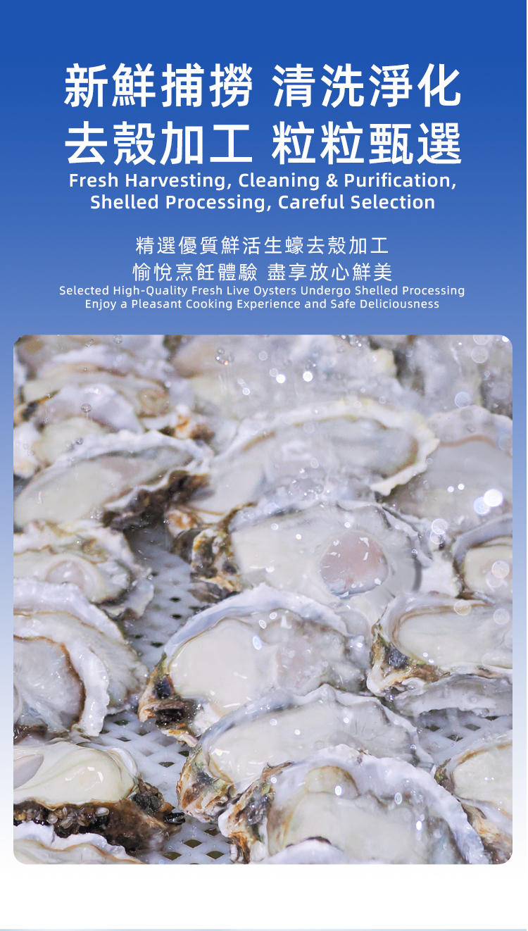 燈塔水母 - 有機原漿生蠔肉 375g (只可以熟食)