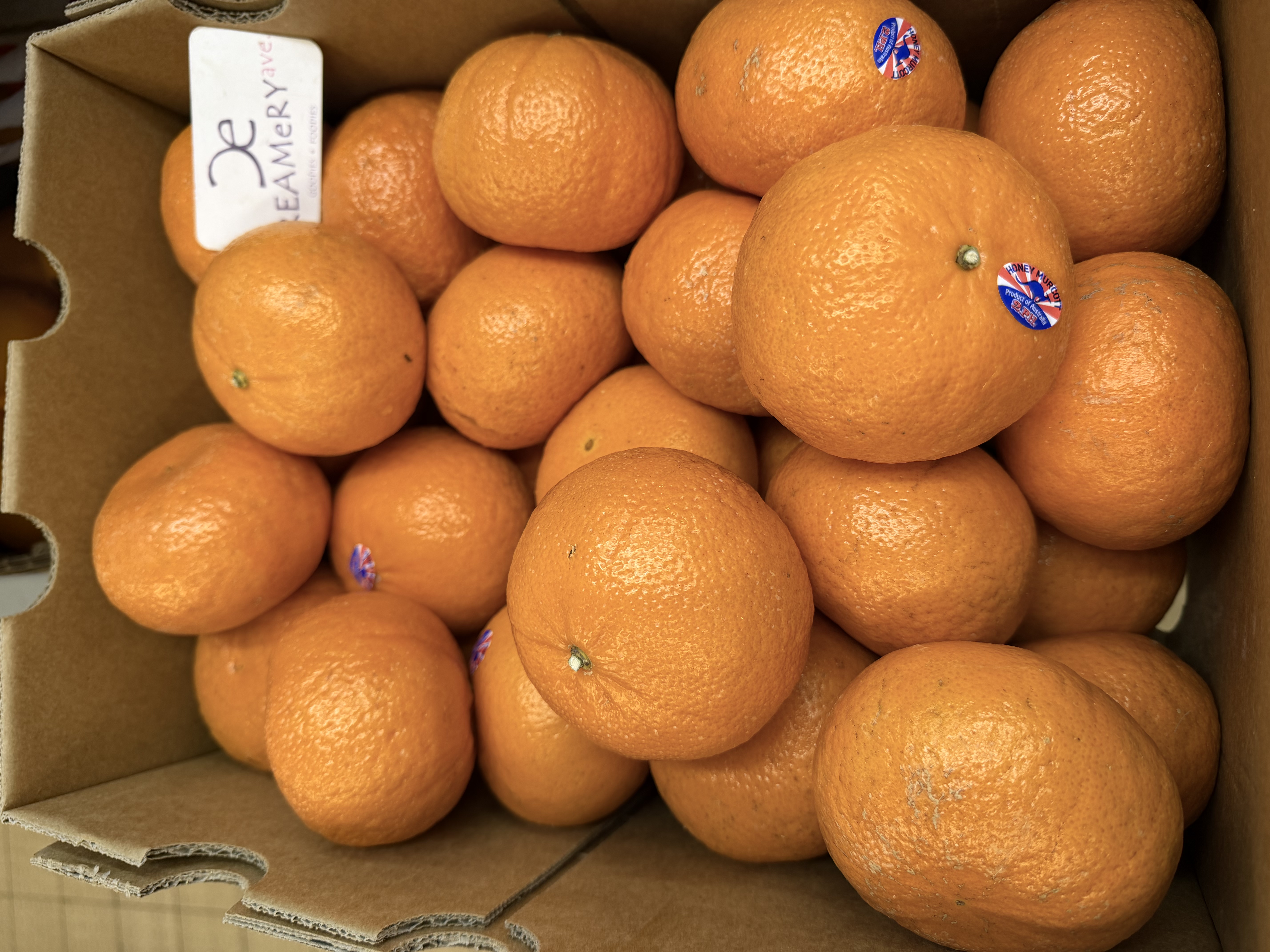 澳洲蜜柑 Australian Mandarin 5個