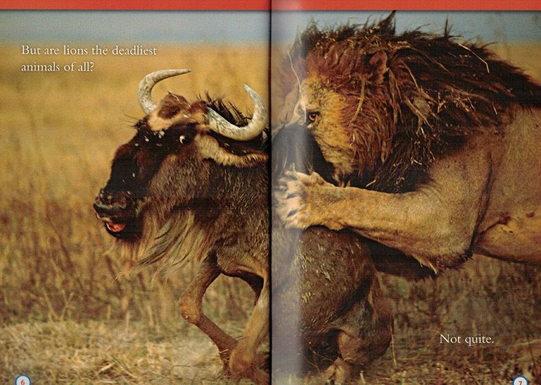 National Geographic Kids Level 3 國家地理分級讀物 第三季 L3 兒童百科書｜22 books｜點讀版