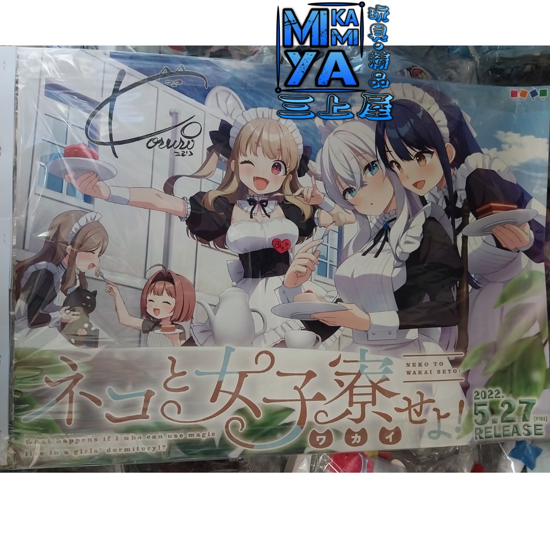 🇯🇵日版 B2海報收藏 雙面海報 宣傳海報 電腦遊戲 獻給神明般的你 Extended Edition & 貓與女子宿舍！ ※※※ [SKU:12993]
