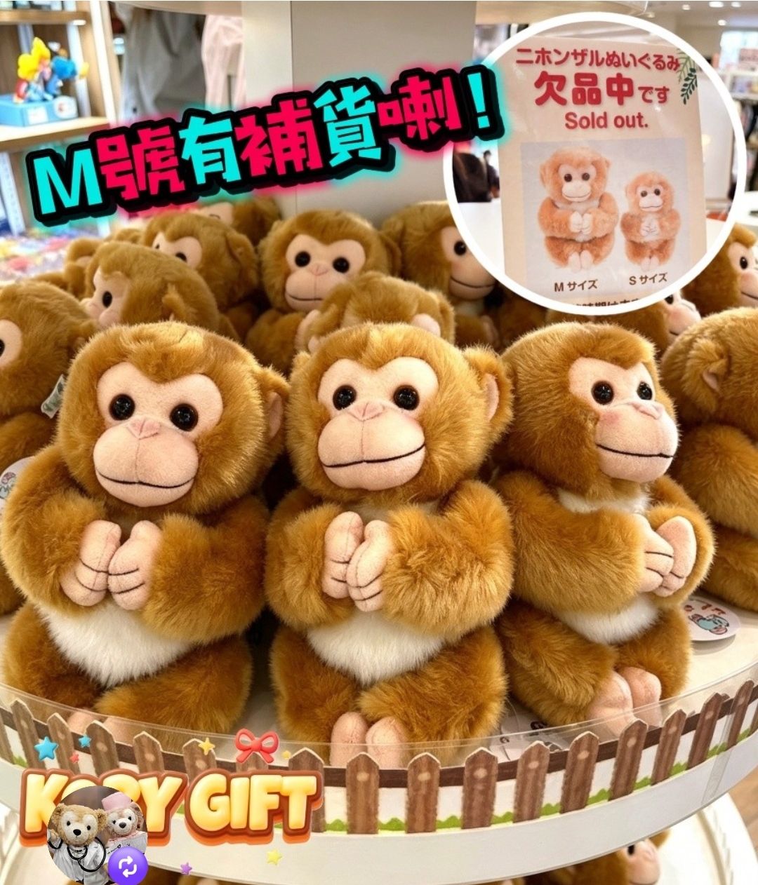 市川動物園限定 人气馬騮仔"パンチくん  Panchi君 M號小公仔  全高約21cm