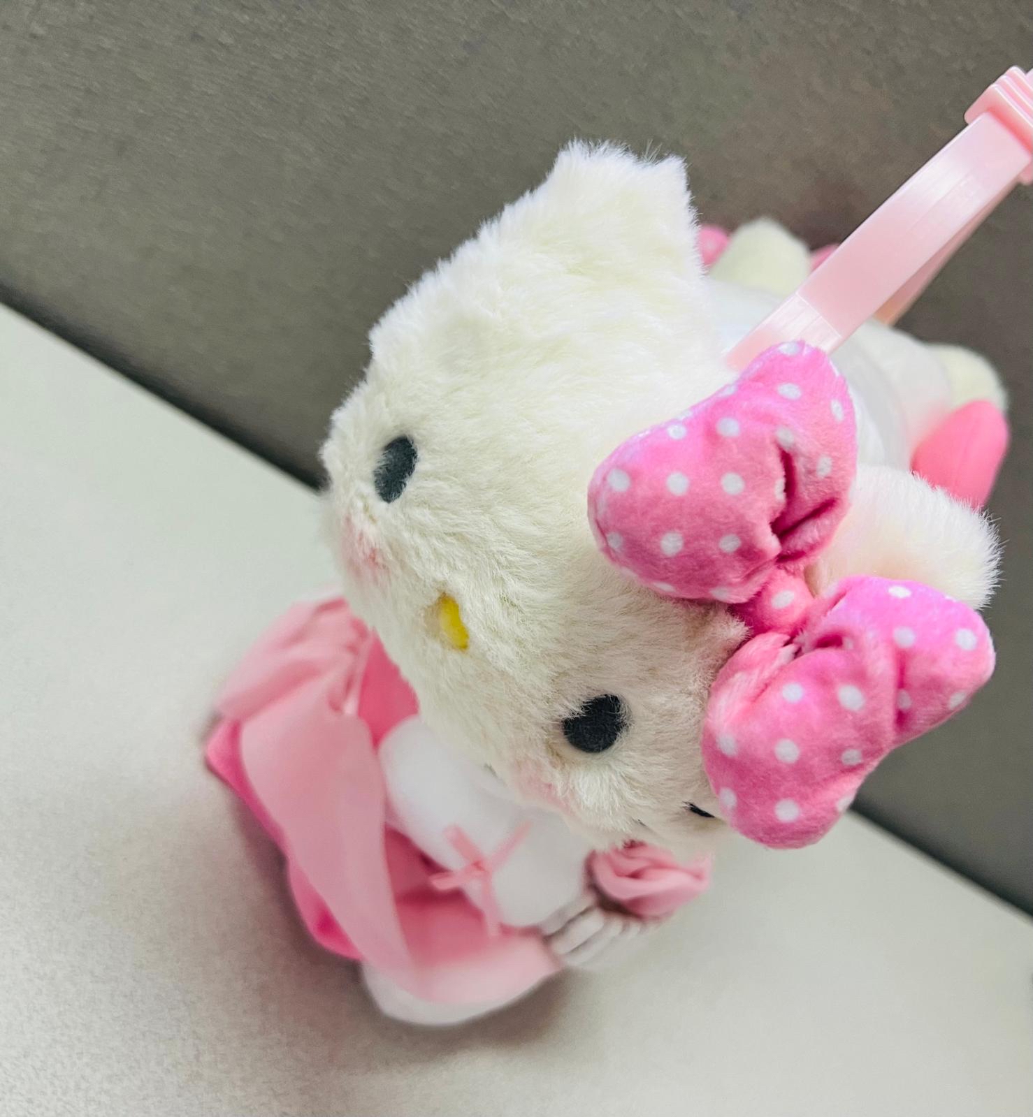 🎌日本直送 🎌Sanrio 卡通 立體公仔保暖耳罩